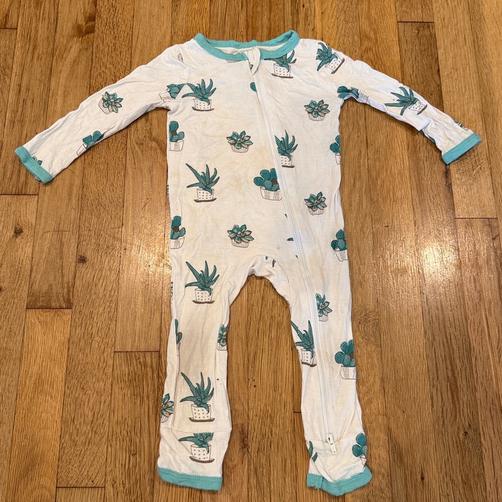 Kyte Baby Blue/Green Succulent Zippered Romper